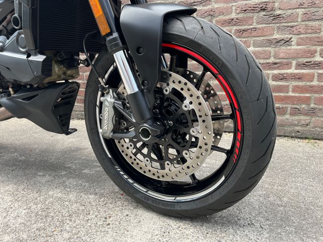 ducati - monster