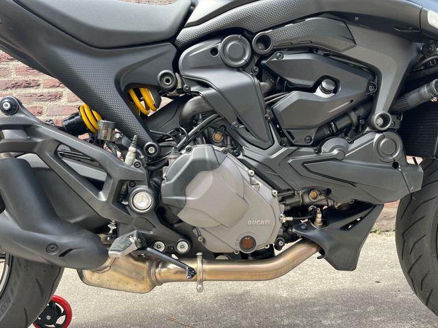 ducati - monster