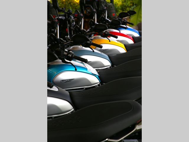 ducati - scrambler-icon