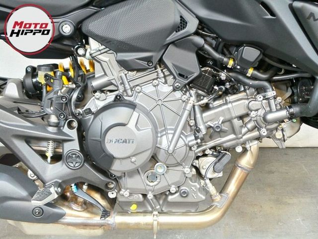 ducati - monster