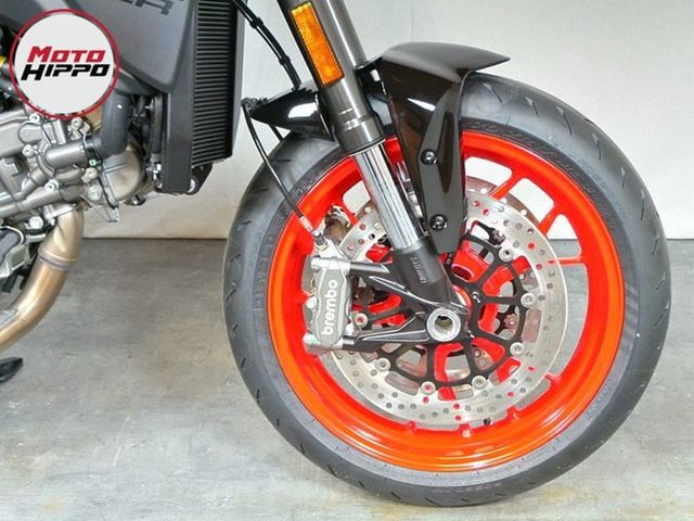 ducati - monster