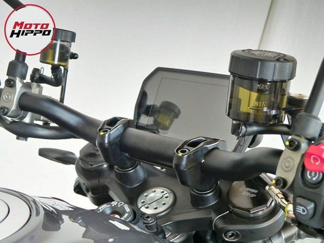 ducati - monster