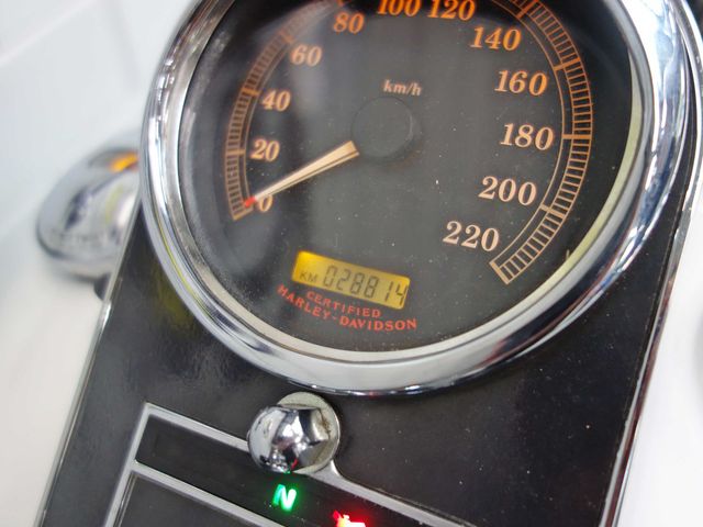 harley-davidson - softail-deluxe-flstni