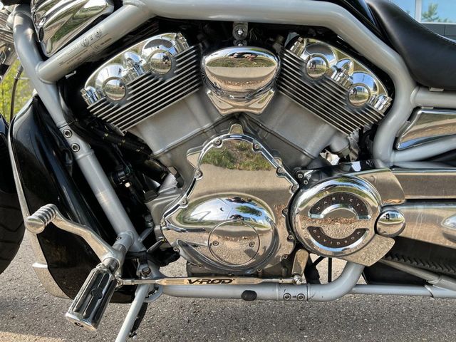 harley-davidson - v-rod-vrsca