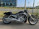 HARLEY-DAVIDSON V-ROD VRSCA