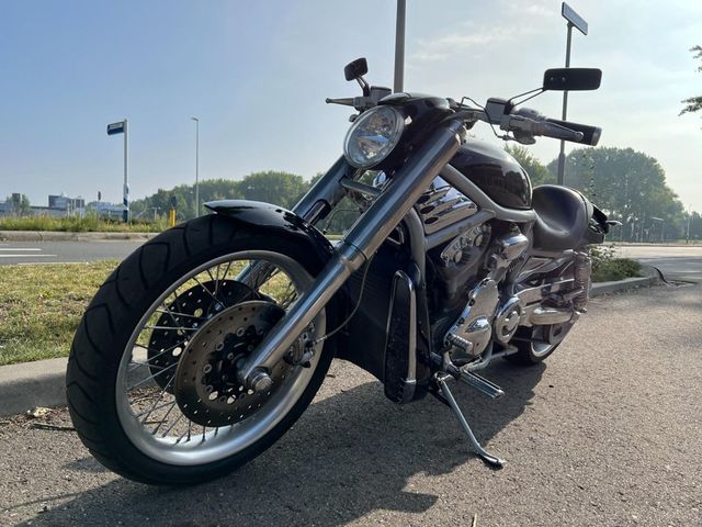 harley-davidson - v-rod-vrsca