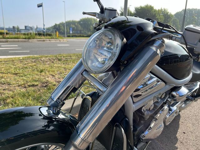 harley-davidson - v-rod-vrsca