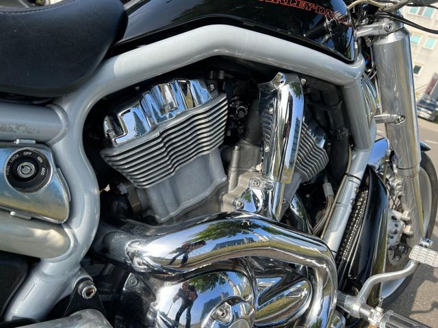 harley-davidson - v-rod-vrsca