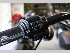 Harley-Davidson Sportster Iron XL 883 N 2015 occasion – foto 15 van 17