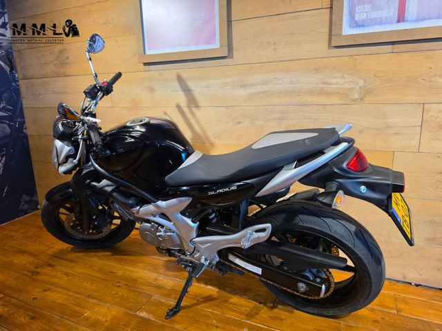 suzuki - sfv-650-gladius