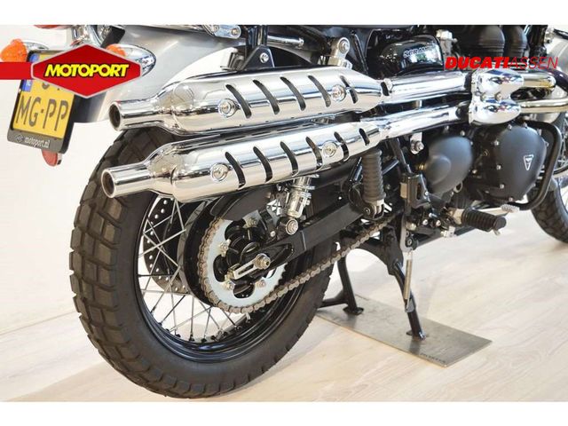 triumph - scrambler-900