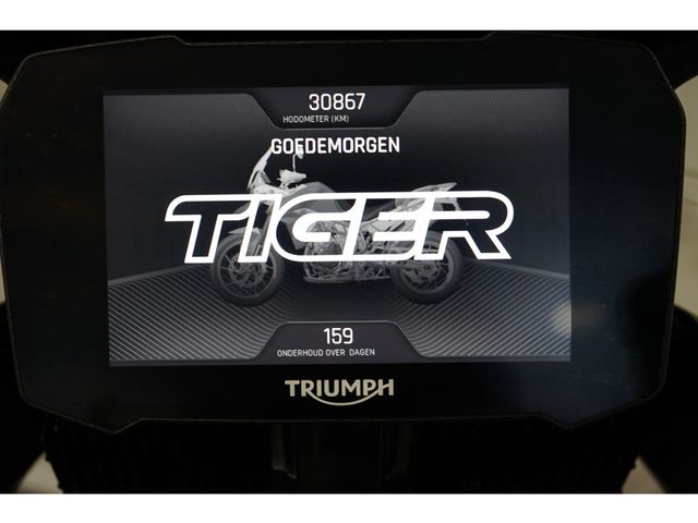 triumph - tiger-900-gt-pro