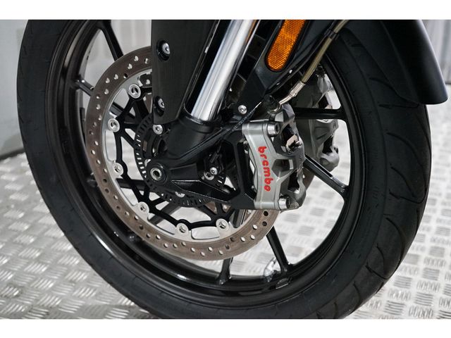 triumph - tiger-900-gt-pro