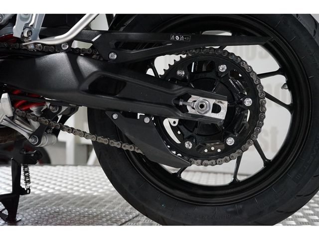 triumph - tiger-900-gt-pro