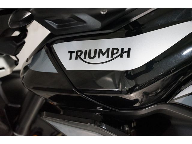 triumph - tiger-900-gt-pro