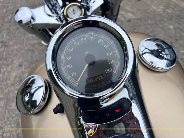 harley-davidson - deuce-fxstd-softail