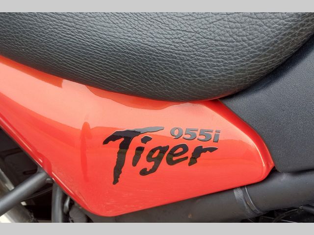 triumph - 955-i-tiger