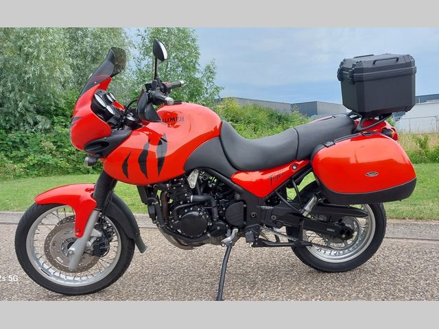 triumph - 955-i-tiger
