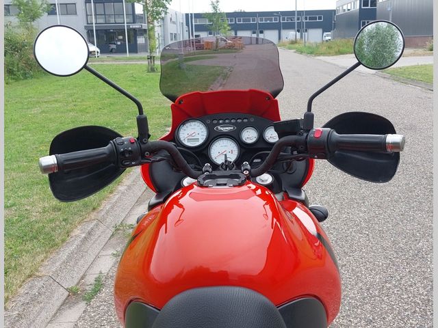 triumph - 955-i-tiger