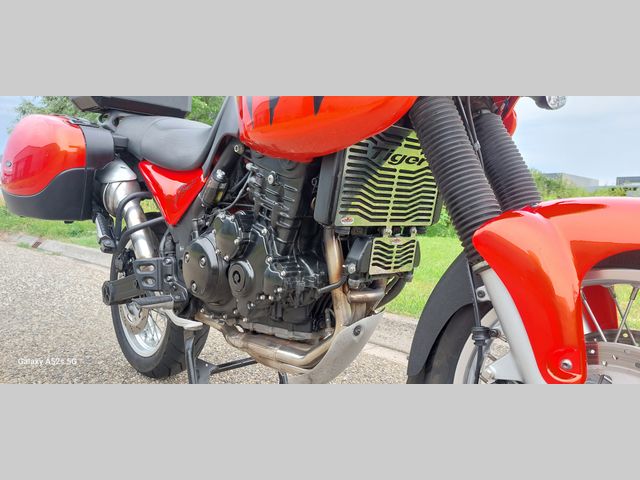 triumph - 955-i-tiger