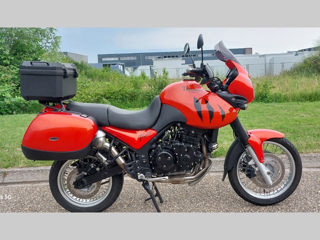 triumph - 955-i-tiger