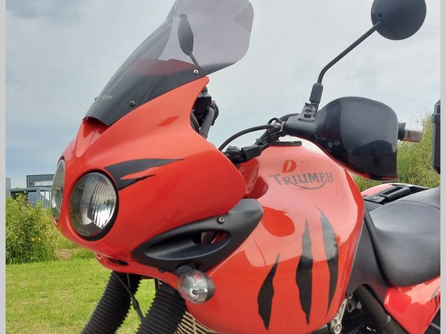triumph - 955-i-tiger