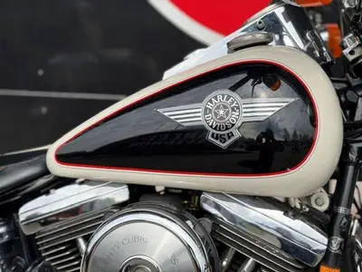 HARLEY-DAVIDSON NOSTALGIA SOFTAIL SPECIAL FLSTN – foto 4