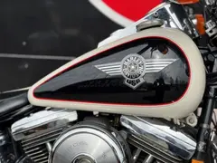 Harley-Davidson Flstn Nostalgia Cowglide 1993 occasion – foto 4 van 18