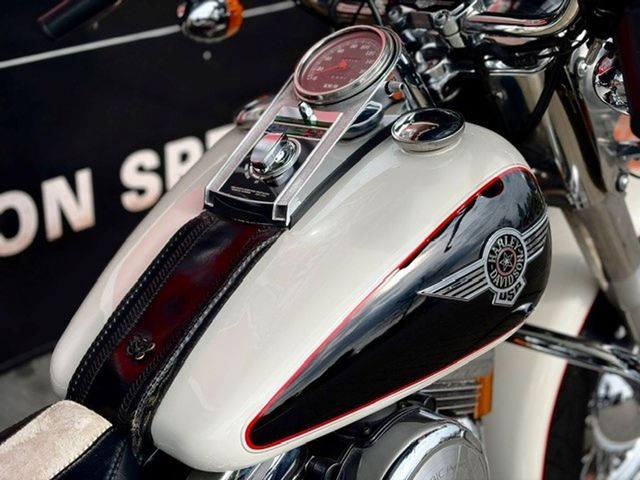harley-davidson - nostalgia-softail-special-flstn