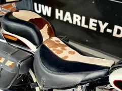 Harley-Davidson Flstn Nostalgia Cowglide 1993 occasion – foto 13 van 18