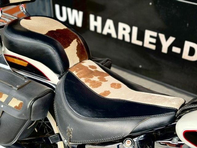 harley-davidson - nostalgia-softail-special-flstn