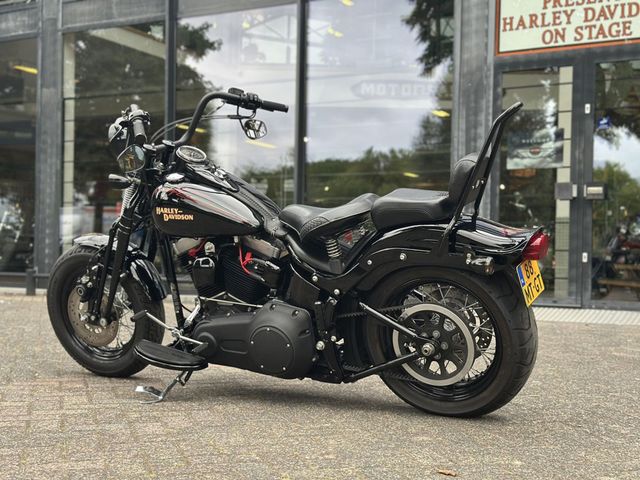 harley-davidson - cross-bones-flstsb