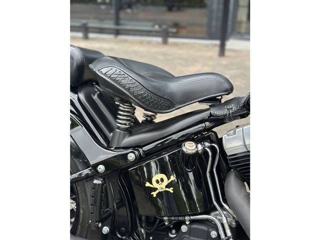 harley-davidson - cross-bones-flstsb