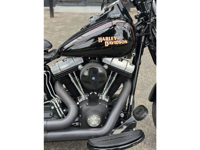 harley-davidson - cross-bones-flstsb