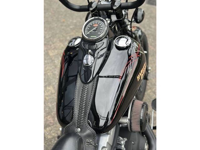 harley-davidson - cross-bones-flstsb