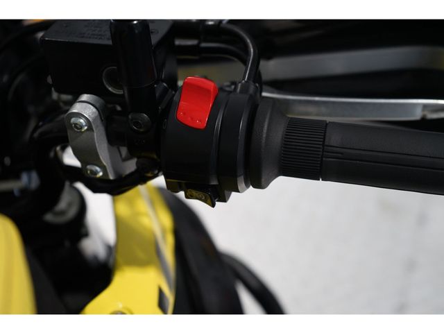 suzuki - v-strom-250-a