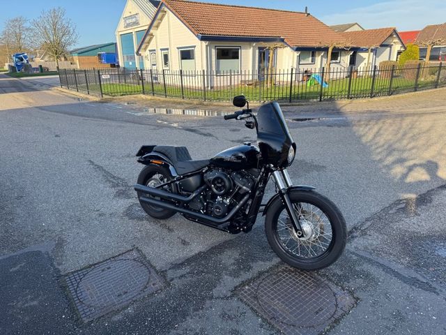 harley-davidson - street-bob