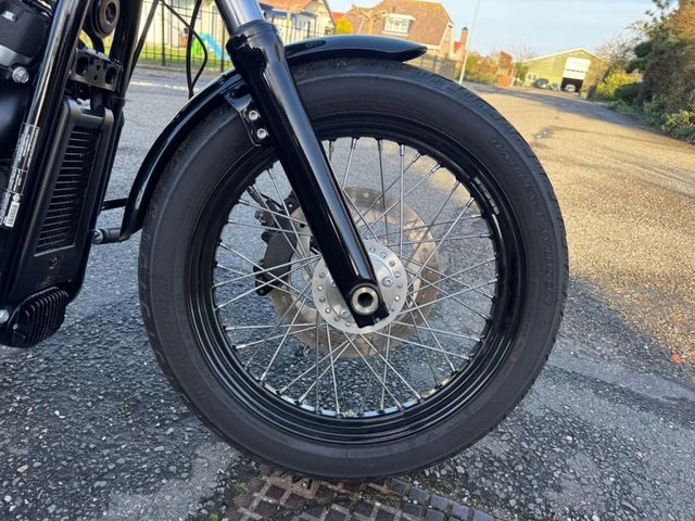 harley-davidson - street-bob