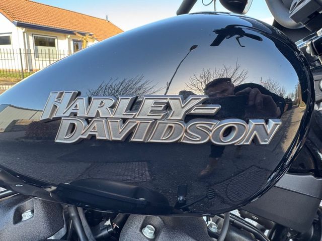 harley-davidson - street-bob