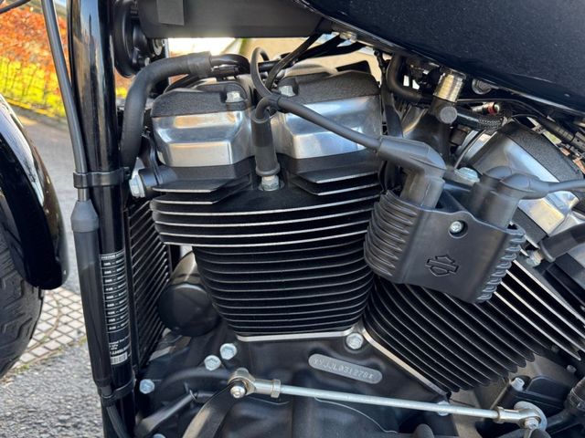 harley-davidson - street-bob