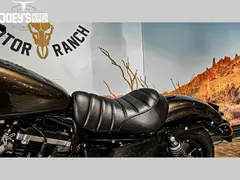 Harley-Davidson Sportster Iron XL 883 N 2020 occasion – foto 11 van 13