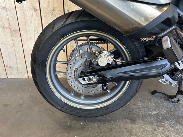 triumph - tiger-800-abs