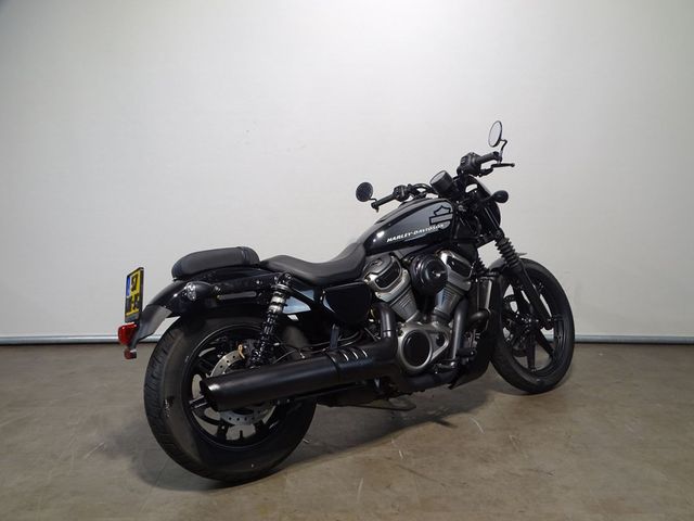 harley-davidson - nightster