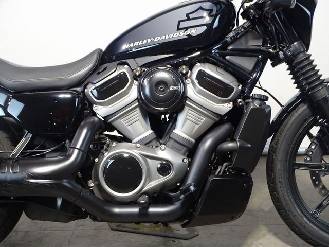 harley-davidson - nightster