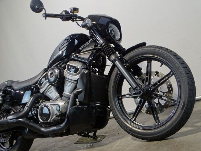 harley-davidson - nightster