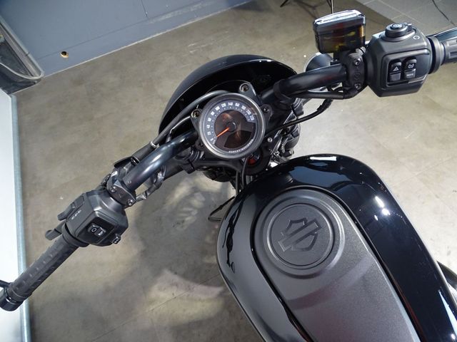 harley-davidson - nightster