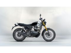 ROYAL ENFIELD BEAR 650