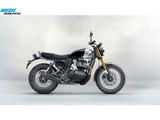 ROYAL ENFIELD BEAR 650
