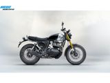 ROYAL ENFIELD BEAR 650