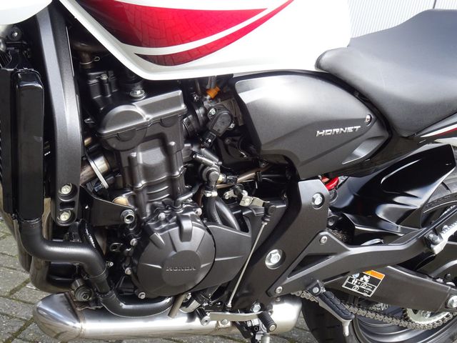 honda - cb-600-f-hornet